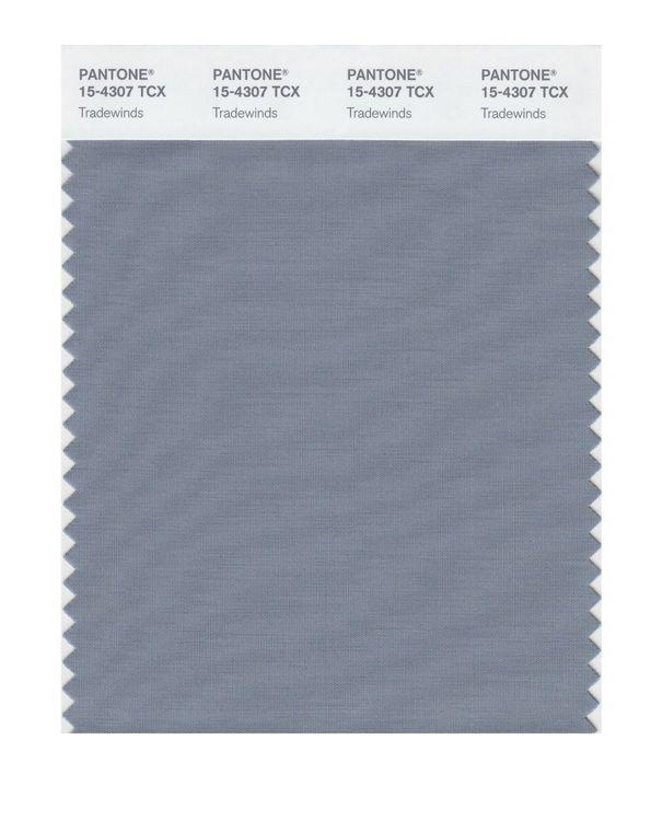 Pantone Smart 15-4307 TCX Color Swatch Card | Tradewinds