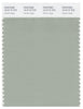 Pantone Smart 16-0110 TCX Color Swatch Card | Desert Sage