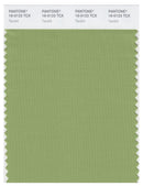 Pantone Smart 16-0123 TCX Color Swatch Card | Tendril