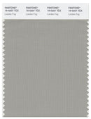 Pantone Smart 16-0207 TCX Color Swatch Card | London Fog