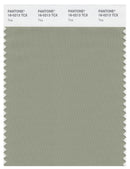 Pantone Smart 16-0213 TCX Color Swatch Card | Tea