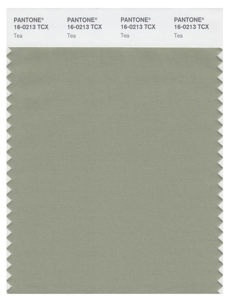 Pantone Smart 16-0213 TCX Color Swatch Card | Tea | Magazine Cafe