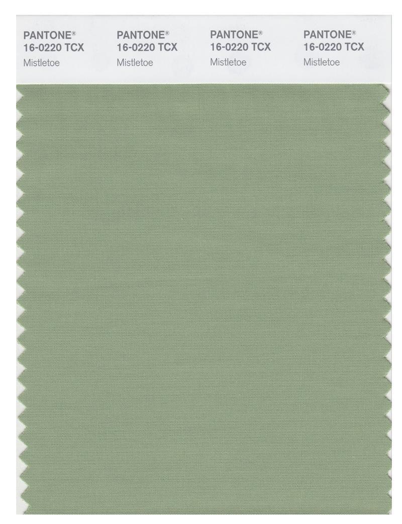 Pantone Smart 16-0220 TCX Color Swatch Card | Mistletoe | Magazine
