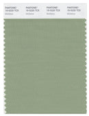 Pantone Smart 16-0220 TCX Color Swatch Card | Mistletoe