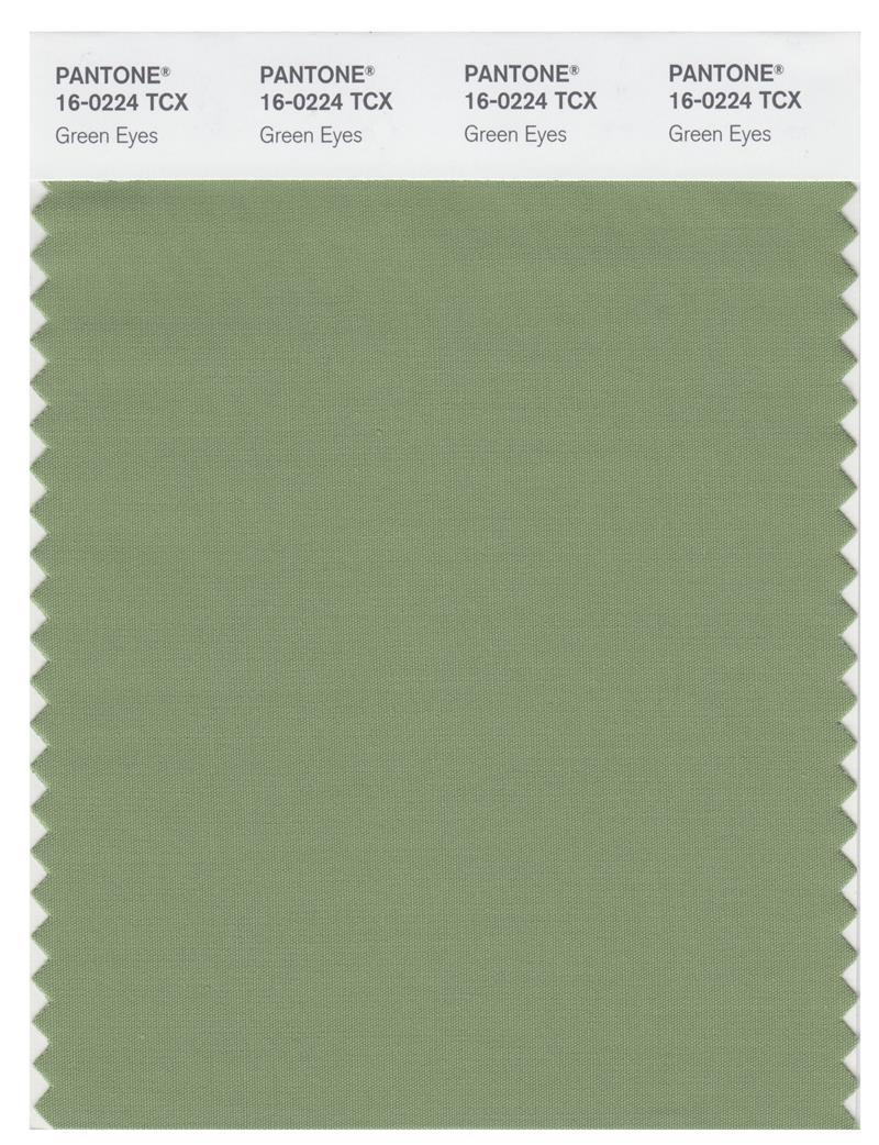 Pantone Smart 16-0224 TCX Color Swatch Card | Green Eyes | Magazine ...