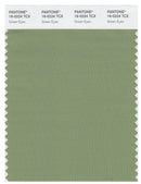 Pantone Smart 16-0224 TCX Color Swatch Card | Green Eyes