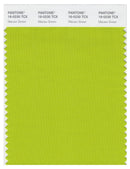 Pantone Smart 16-0230 TCX Color Swatch Card | Macaw Green