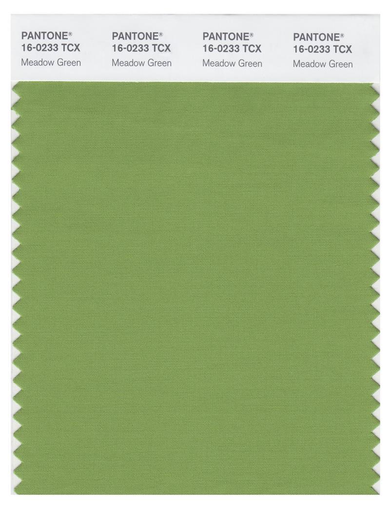 Pantone Smart 16-0233 TCX Color Swatch Card | Meadow Green