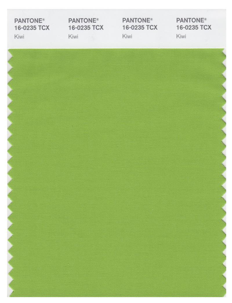 Pantone Smart 16-0235 TCX Color Swatch Card | Kiwi | Magazine Cafe
