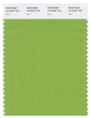 Pantone Smart 16-0235 TCX Color Swatch Card | Kiwi