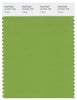 Pantone Smart 16-0237 TCX Color Swatch Card | Foliage