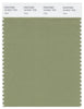 Pantone Smart 16-0421 TCX Color Swatch Card | Sage
