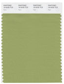 Pantone Smart 16-0430 TCX Color Swatch Card | Fern
