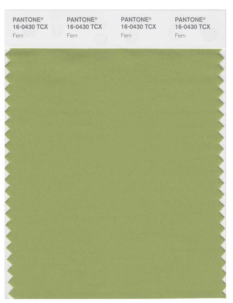 Pantone Smart 16-0430 TCX Color Swatch Card | Fern