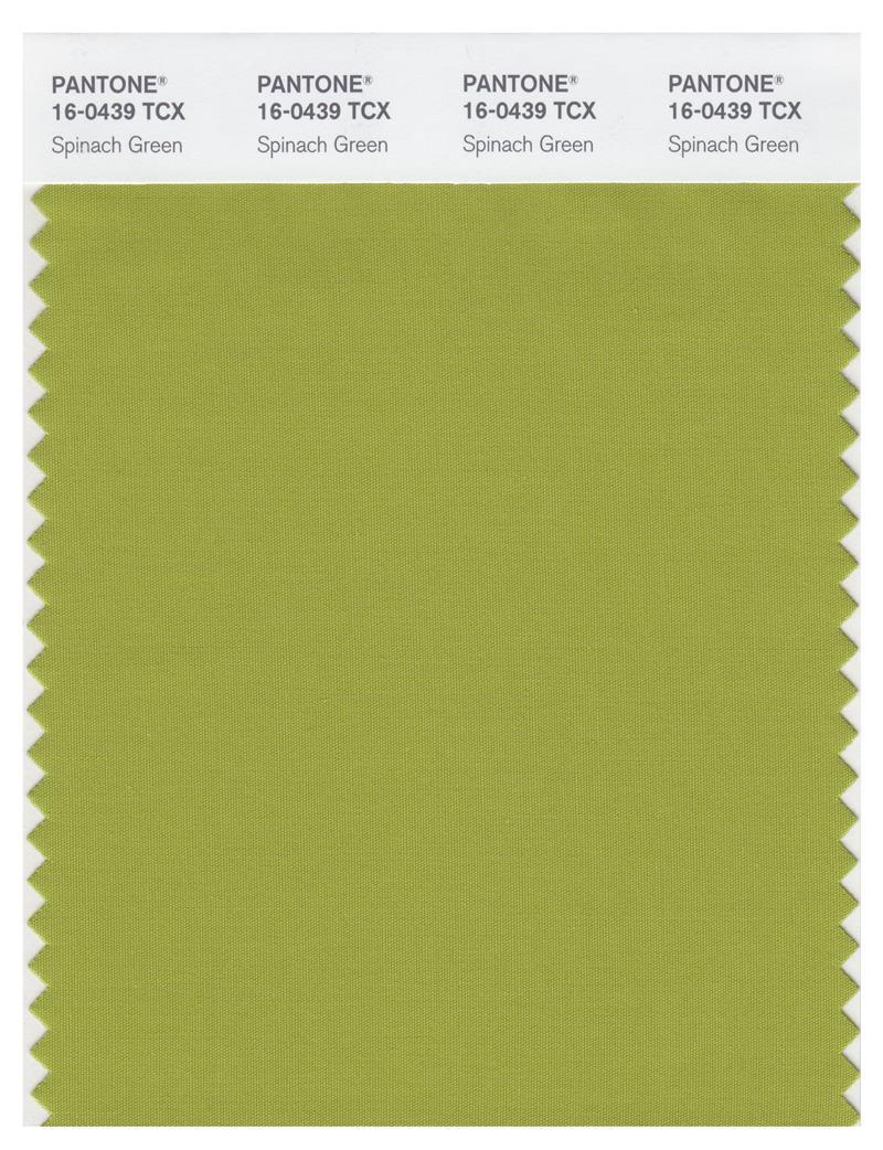 PANTONE 色見本 FASHION,,INTERIORS Pantone Smart 16-0439 TCX Color Swatch Card | Spinach Green