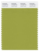Pantone Smart 16-0439 TCX Color Swatch Card | Spinach Green
