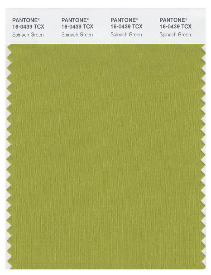 Pantone Smart 16-0439 TCX Color Swatch Card | Spinach Green