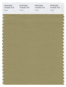 Pantone Smart 16-0526 TCX Color Swatch Card | Cedar