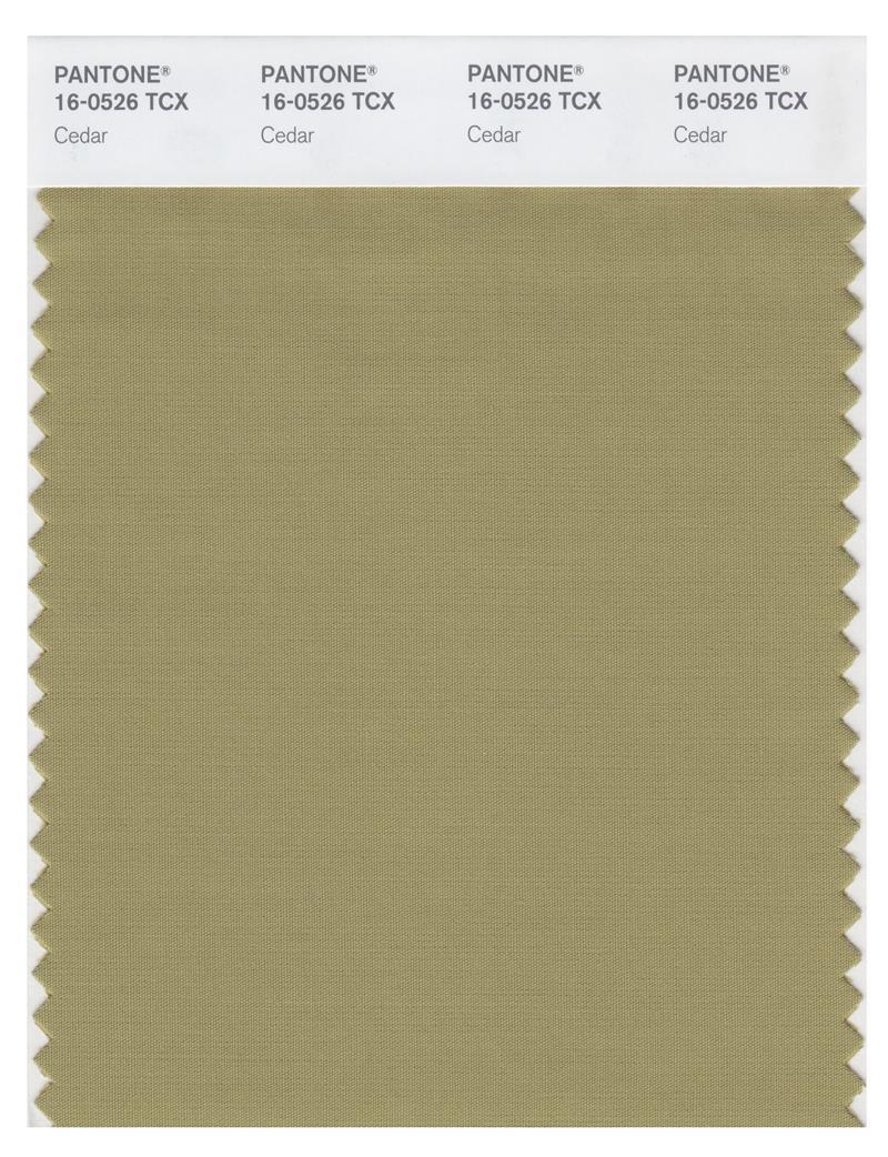 0526 Color Pantone Smart 16-0526 TCX Color Swatch Card | Cedar | Magazine Cafe ...