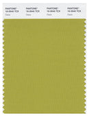 Pantone Smart 16-0540 TCX Color Swatch Card | Oasis
