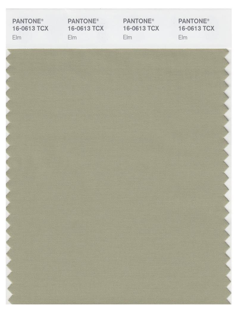Pantone Smart 16-0613 TCX Color Swatch Card | Elm | Magazine Cafe Store ...