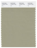 Pantone Smart 16-0613 TCX Color Swatch Card | Elm