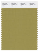 Pantone Smart 16-0632 TCX Color Swatch Card | Willow