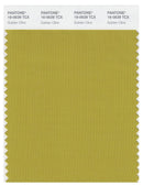 Pantone Smart 16-0639 TCX Color Swatch Card | Golden Olive