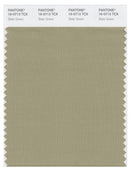 Pantone Smart 16-0713 TCX Color Swatch Card | Slate Green