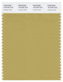 Pantone Smart 16-0730 TCX Color Swatch Card | Antique Gold