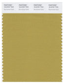Pantone Smart 16-0737 TCX Color Swatch Card | Burnished Gold