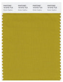 Pantone Smart 16-0742 TCX Color Swatch Card | Green Sulphur