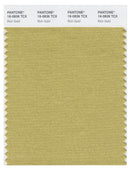 Pantone Smart 16-0836 TCX Color Swatch Card | Rich Gold