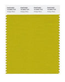 Pantone Smart 16-0804 TCX Color Swatch Card | Antique Moss