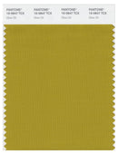 Pantone Smart 16-0847 TCX Color Swatch Card | Olive Oil
