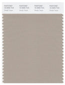 Pantone Smart 16-0906 TCX Color Swatch Card | Simply Taupe