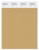 Pantone Smart 16-0940 TCX Color Swatch Card | Taffy