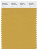 Pantone Smart 16-0945 TCX Color Swatch Card | Tinsel