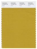 Pantone Smart 16-0946 TCX Color Swatch Card | Honey