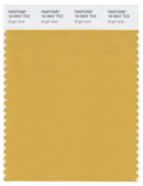 Pantone Smart 16-0947 TCX Color Swatch Card | Bright Gold