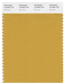 Pantone Smart 16-0950 TCX Color Swatch Card | Narcissus