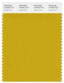Pantone Smart 16-0952 TCX Color Swatch Card | Nugget Gold