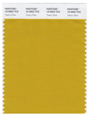 Pantone Smart 16-0953 TCX Color Swatch Card | Tawny Olive