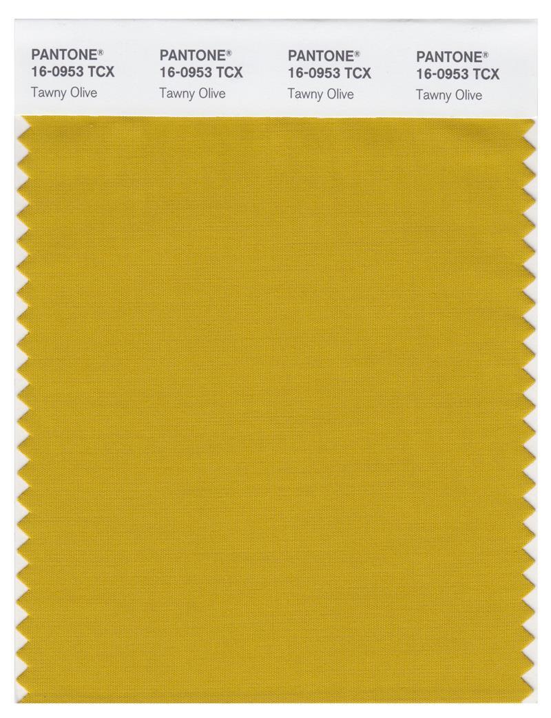Pantone Smart 16-0953 TCX Color Swatch Card | Tawny Olive