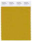 Pantone Smart 16-0954 TCX Color Swatch Card | Arrowwood