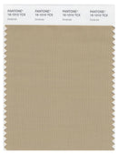 Pantone Smart 16-1010 TCX Color Swatch Card | Incense