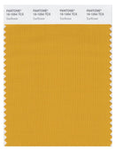 Pantone Smart 16-1054 TCX Color Swatch Card | Sunflower