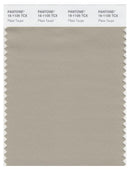 Pantone Smart 16-1105 TCX Color Swatch Card | Plaza Taupe