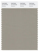 Pantone Smart 16-1107 TCX Color Swatch Card | Aluminum