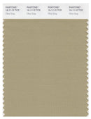 Pantone Smart 16-1110 TCX Color Swatch Card | Olive Gray